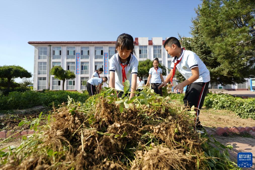 大圣闹海捕鱼游戏